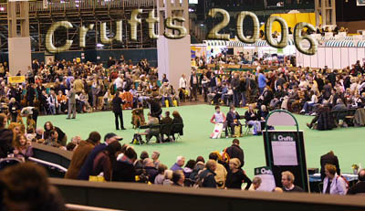 <<  CRUFTS 2006 PICTURES  >>